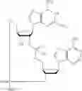 Fig. 526 - Cyclic di-nucleotide compounds as STING agonists