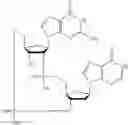 Fig. 531 - Cyclic di-nucleotide compounds as STING agonists