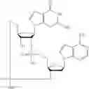 Fig. 533 - Cyclic di-nucleotide compounds as STING agonists