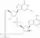 Fig. 538 - Cyclic di-nucleotide compounds as STING agonists