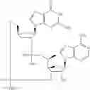 Fig. 541 - Cyclic di-nucleotide compounds as STING agonists