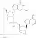 Fig. 543 - Cyclic di-nucleotide compounds as STING agonists