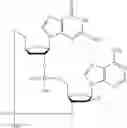 Fig. 557 - Cyclic di-nucleotide compounds as STING agonists