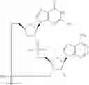 Fig. 560 - Cyclic di-nucleotide compounds as STING agonists