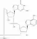 Fig. 562 - Cyclic di-nucleotide compounds as STING agonists