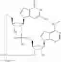 Fig. 563 - Cyclic di-nucleotide compounds as STING agonists
