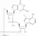 Fig. 565 - Cyclic di-nucleotide compounds as STING agonists