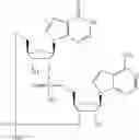 Fig. 567 - Cyclic di-nucleotide compounds as STING agonists