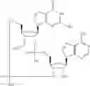 Fig. 568 - Cyclic di-nucleotide compounds as STING agonists