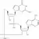 Fig. 569 - Cyclic di-nucleotide compounds as STING agonists