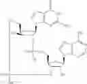 Fig. 571 - Cyclic di-nucleotide compounds as STING agonists