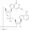 Fig. 572 - Cyclic di-nucleotide compounds as STING agonists