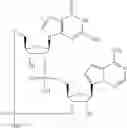 Fig. 573 - Cyclic di-nucleotide compounds as STING agonists