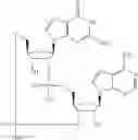 Fig. 575 - Cyclic di-nucleotide compounds as STING agonists