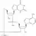 Fig. 576 - Cyclic di-nucleotide compounds as STING agonists