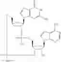 Fig. 577 - Cyclic di-nucleotide compounds as STING agonists