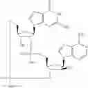 Fig. 580 - Cyclic di-nucleotide compounds as STING agonists