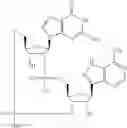 Fig. 581 - Cyclic di-nucleotide compounds as STING agonists