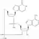 Fig. 582 - Cyclic di-nucleotide compounds as STING agonists