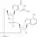 Fig. 583 - Cyclic di-nucleotide compounds as STING agonists
