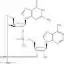 Fig. 584 - Cyclic di-nucleotide compounds as STING agonists