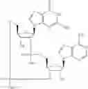 Fig. 585 - Cyclic di-nucleotide compounds as STING agonists