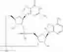 Fig. 587 - Cyclic di-nucleotide compounds as STING agonists