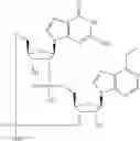 Fig. 588 - Cyclic di-nucleotide compounds as STING agonists