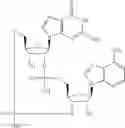 Fig. 596 - Cyclic di-nucleotide compounds as STING agonists
