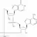 Fig. 597 - Cyclic di-nucleotide compounds as STING agonists