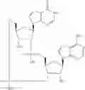 Fig. 598 - Cyclic di-nucleotide compounds as STING agonists
