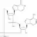 Fig. 600 - Cyclic di-nucleotide compounds as STING agonists