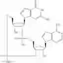 Fig. 601 - Cyclic di-nucleotide compounds as STING agonists