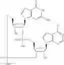 Fig. 603 - Cyclic di-nucleotide compounds as STING agonists