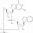 Fig. 604 - Cyclic di-nucleotide compounds as STING agonists