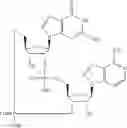 Fig. 605 - Cyclic di-nucleotide compounds as STING agonists