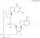 Fig. 611 - Cyclic di-nucleotide compounds as STING agonists