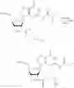 Fig. 618 - Cyclic di-nucleotide compounds as STING agonists