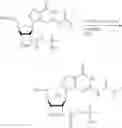 Fig. 619 - Cyclic di-nucleotide compounds as STING agonists