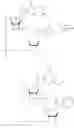 Fig. 626 - Cyclic di-nucleotide compounds as STING agonists