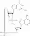 Fig. 636 - Cyclic di-nucleotide compounds as STING agonists