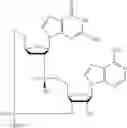 Fig. 637 - Cyclic di-nucleotide compounds as STING agonists