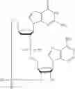 Fig. 638 - Cyclic di-nucleotide compounds as STING agonists