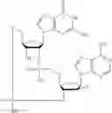 Fig. 641 - Cyclic di-nucleotide compounds as STING agonists