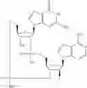 Fig. 647 - Cyclic di-nucleotide compounds as STING agonists