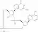 Fig. 664 - Cyclic di-nucleotide compounds as STING agonists