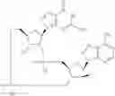 Fig. 666 - Cyclic di-nucleotide compounds as STING agonists
