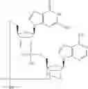 Fig. 711 - Cyclic di-nucleotide compounds as STING agonists
