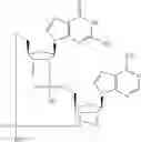 Fig. 712 - Cyclic di-nucleotide compounds as STING agonists