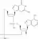 Fig. 715 - Cyclic di-nucleotide compounds as STING agonists